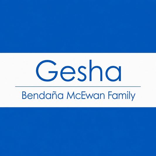 Nicaragua - Gesha Washed