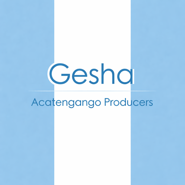Guatemala Gesha - Acatenango Producers