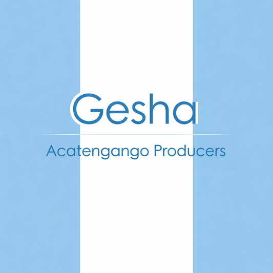 Gesha Guatemala - Produsen Acatenango