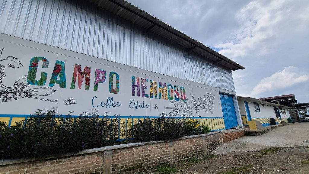 Colombia Gesha - Edwin Noreña, Finca Campo Hermoso, Quindío