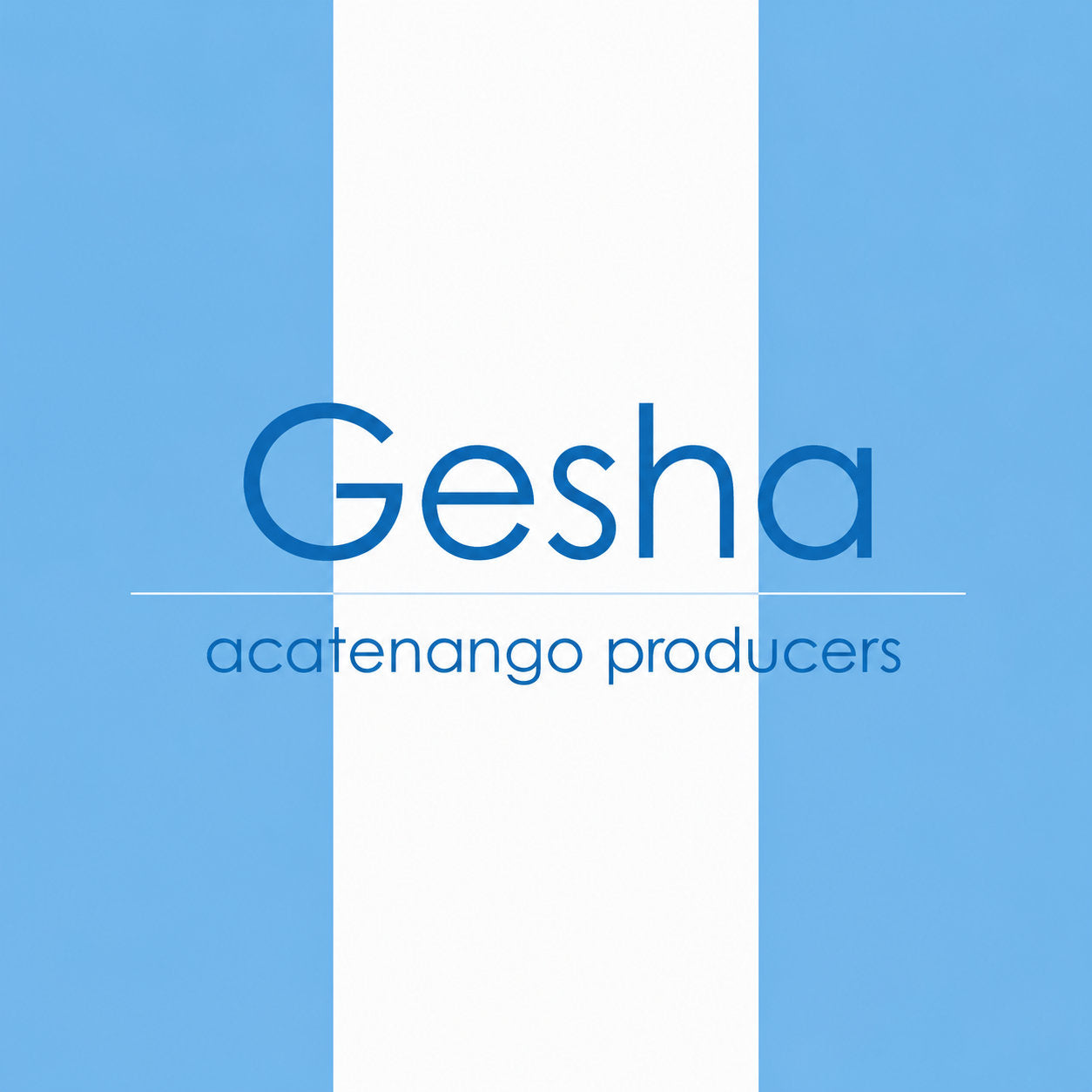 Guatemala Gesha - Acatenango Producers