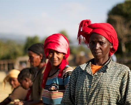 Ethiopia Heirloom - Harfusa Cooperative, Yirgacheffe, Gedeb